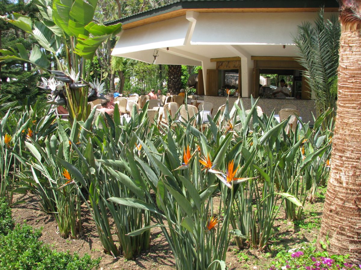 imagini hotel DELPHIN BOTANIK